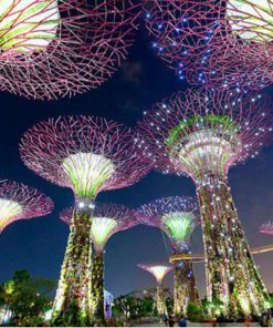 tour singapore