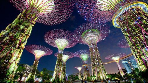 tour singapore